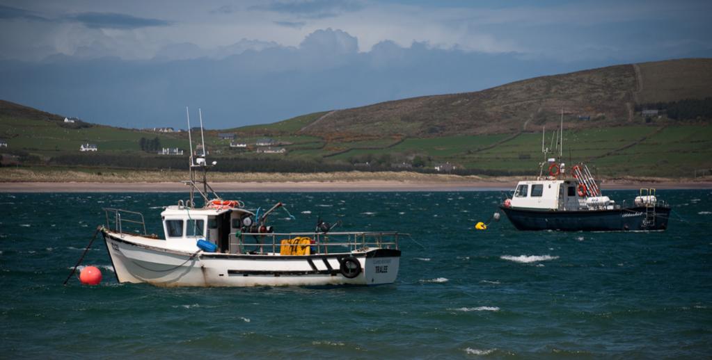 Dingle 3