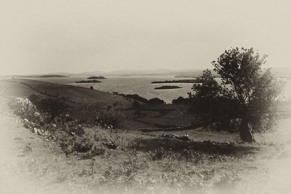 dingle bay