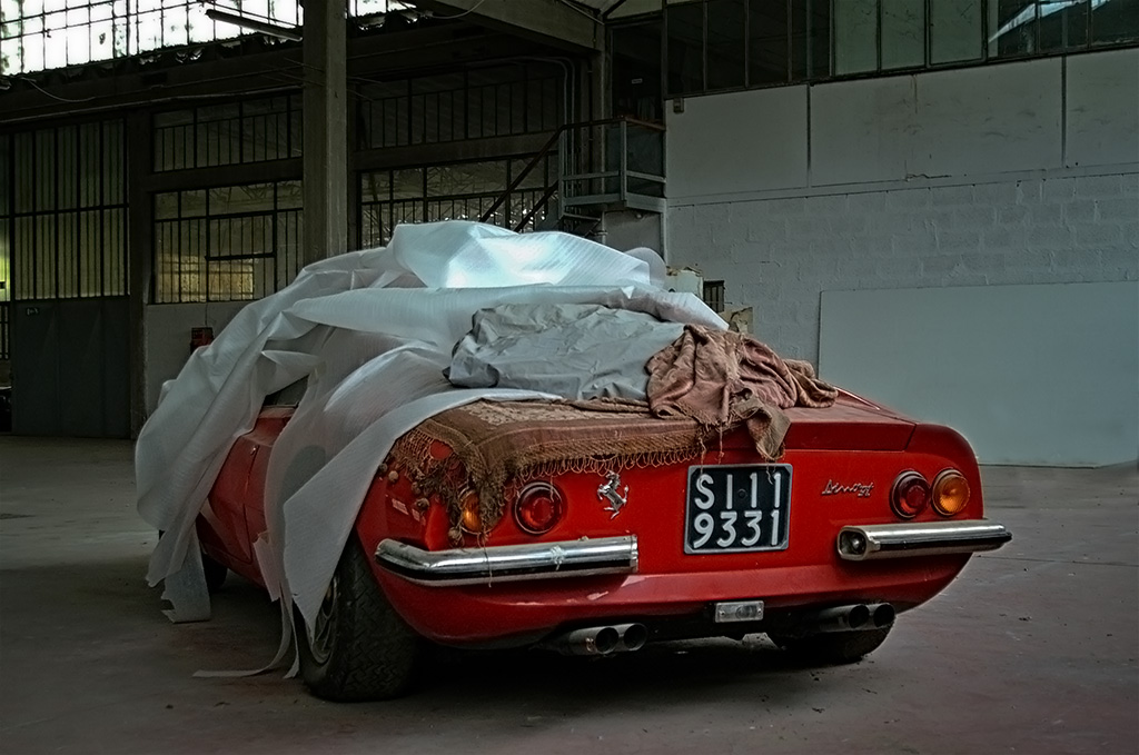 dino rear