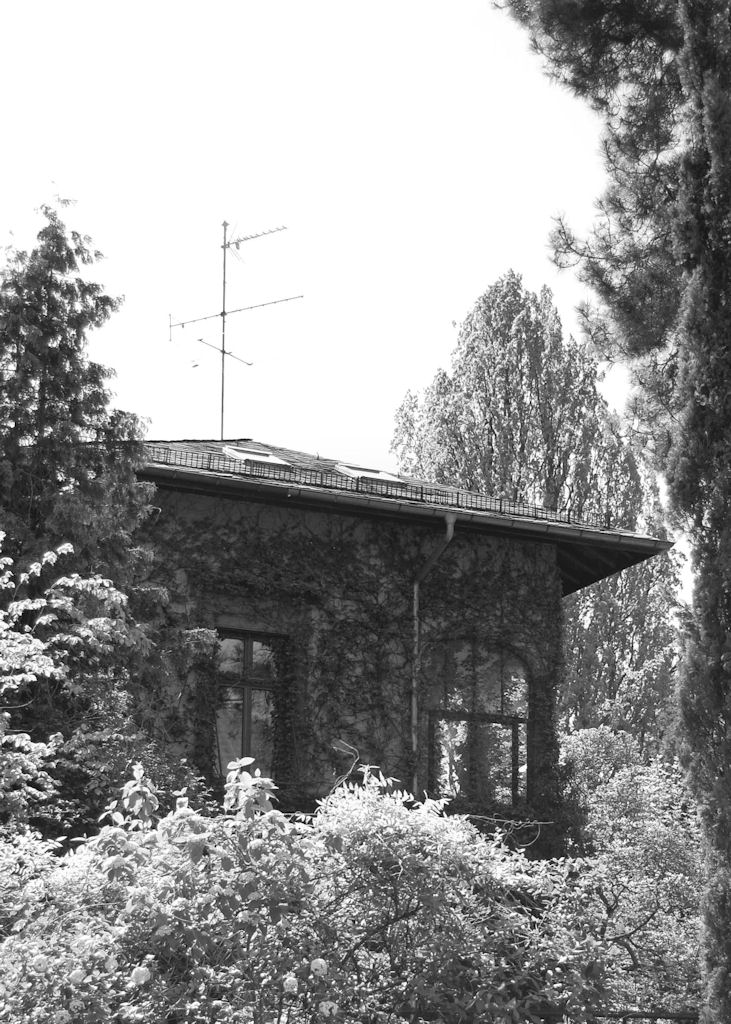 Direktion Palmengarten