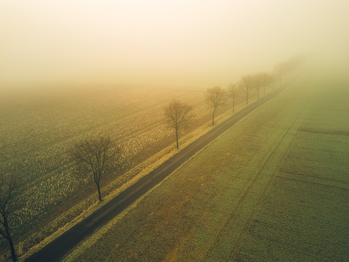 DJI_0875-HDR.jpg