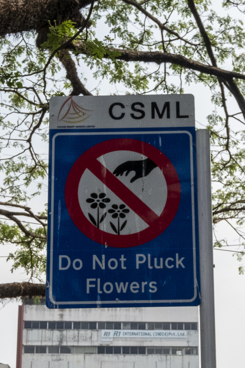 Do not pluck flowers.jpg