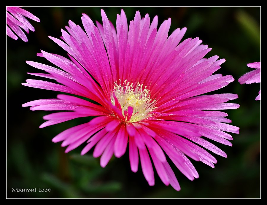 Do weighted average Stack Blume 532 536 Kopie