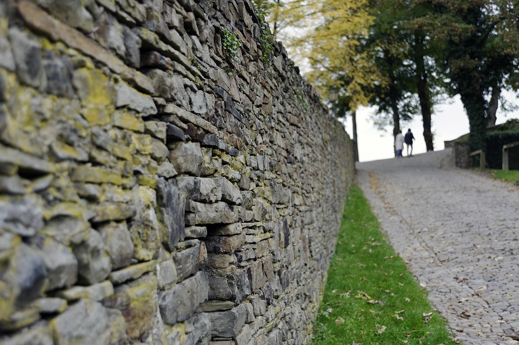 DOF 02