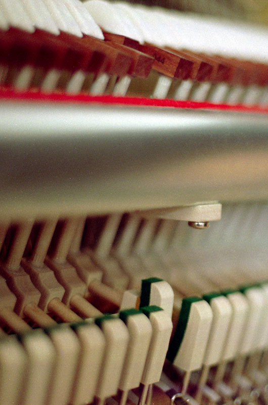 DOF 12