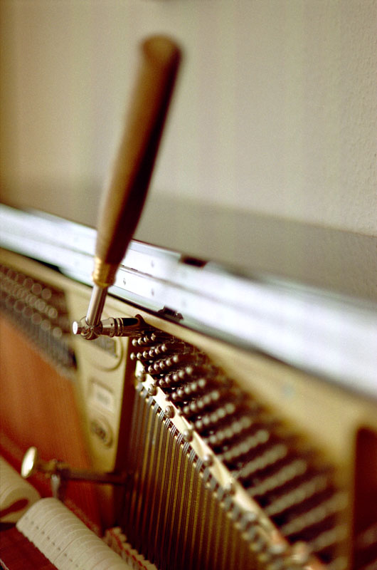DOF 3
