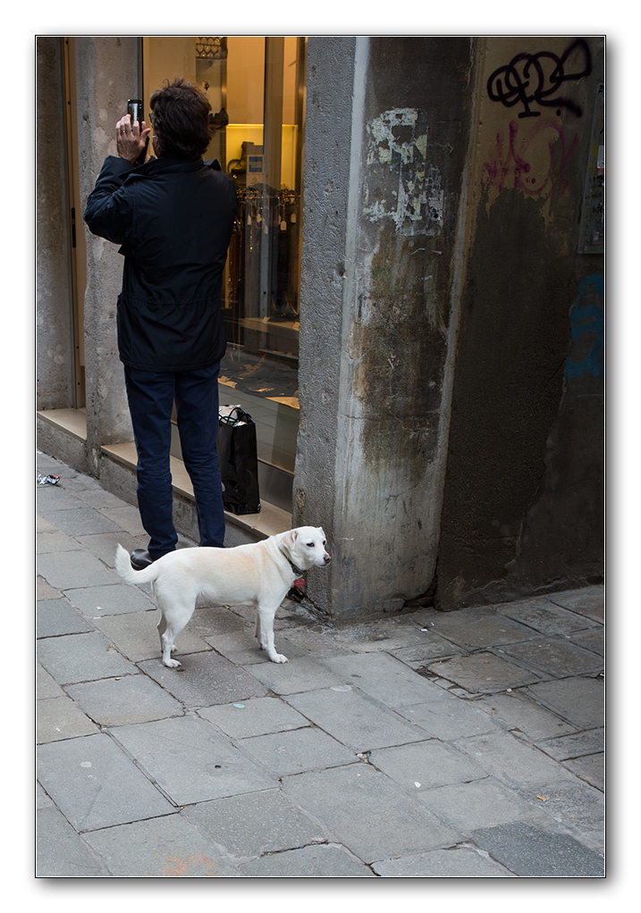 dog2
