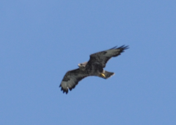 Dohna 20090607 151839
