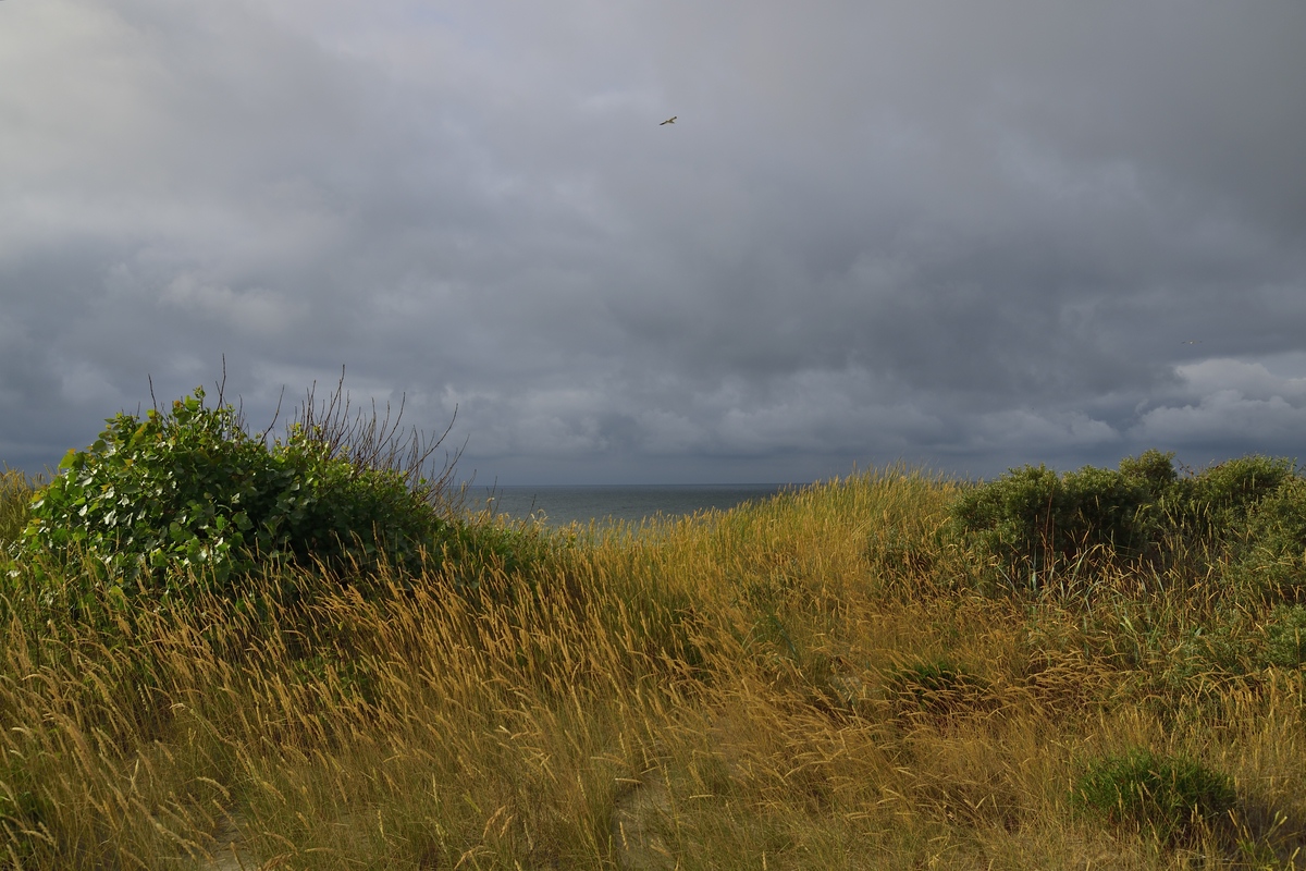 Domburg  DSC0287 00094