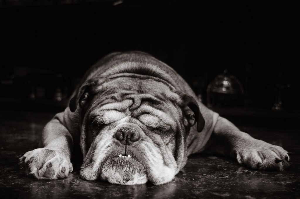 Don't wake a sleeping dog.