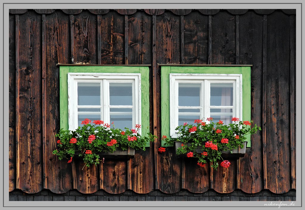Doppelpack