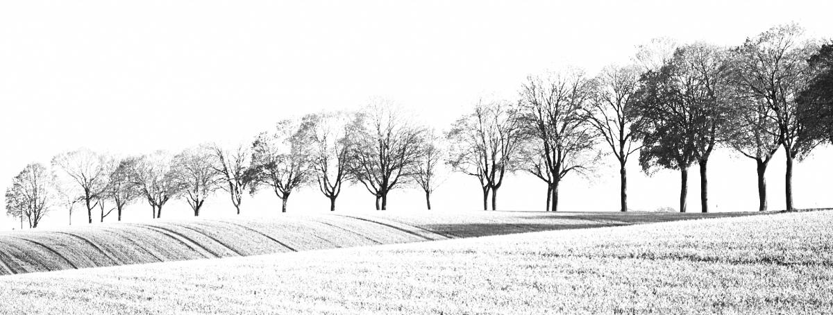 Dorfen Umland  03