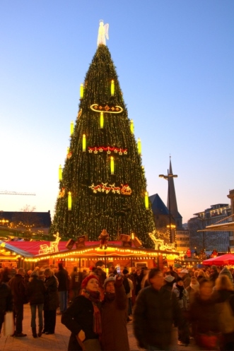 Dortmun Baum2