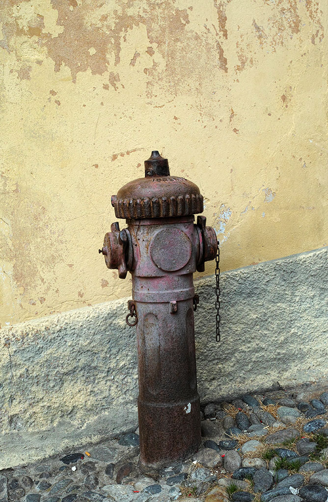 DP2M0639