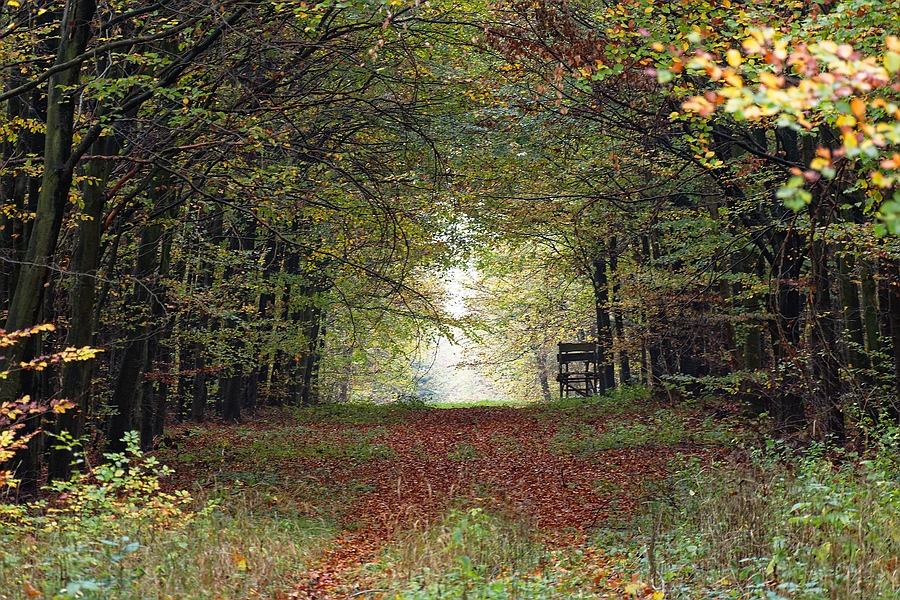 Drückjagdbock