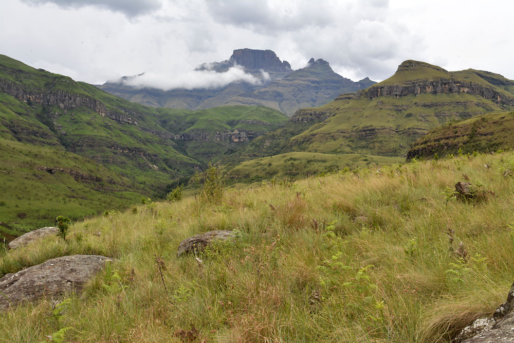 Drakensberge 1