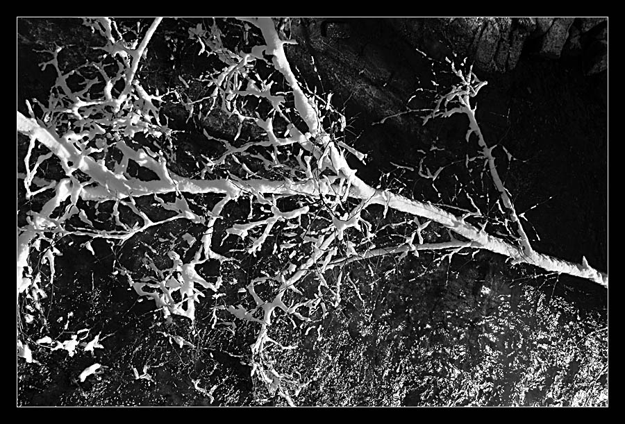Draußen im Schnee 1999