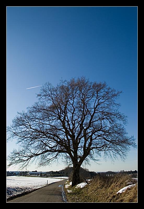 Draußen im Schnee 2036