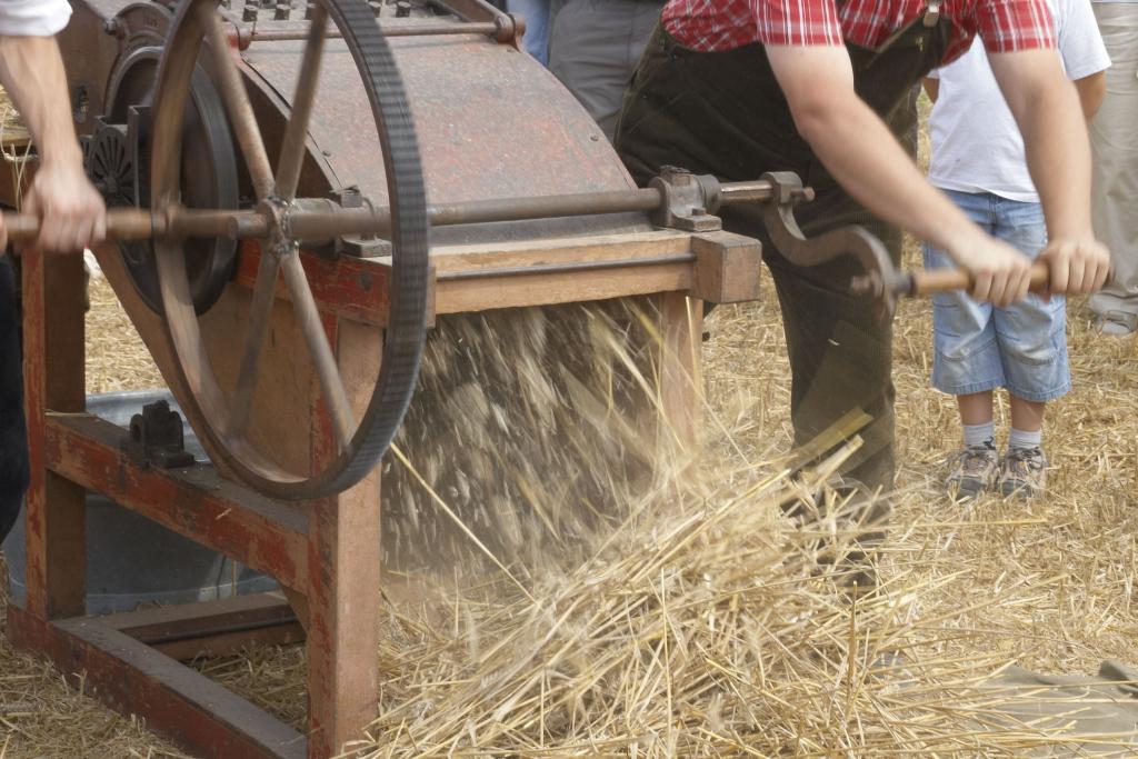 Dreschfest Dühren - Handarbeit ist angesagt...