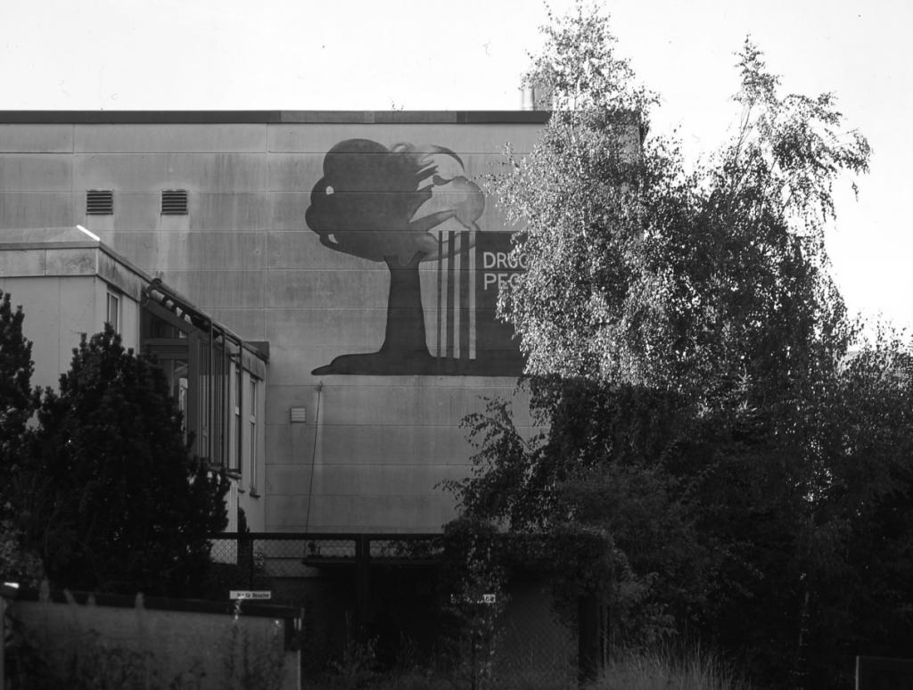 druckhaus3