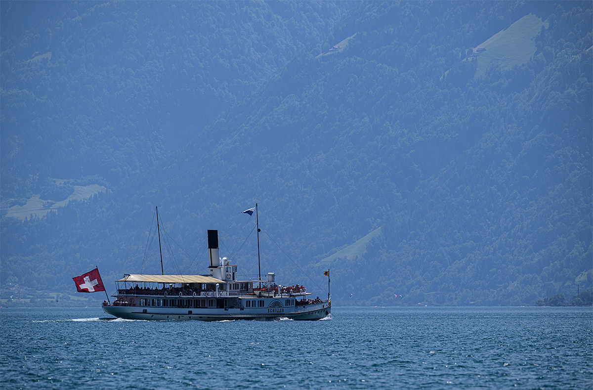 DS-Schiller.jpg