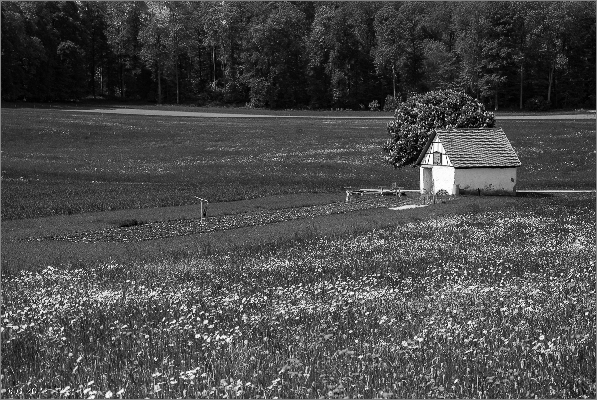 DS2_2087.jpg