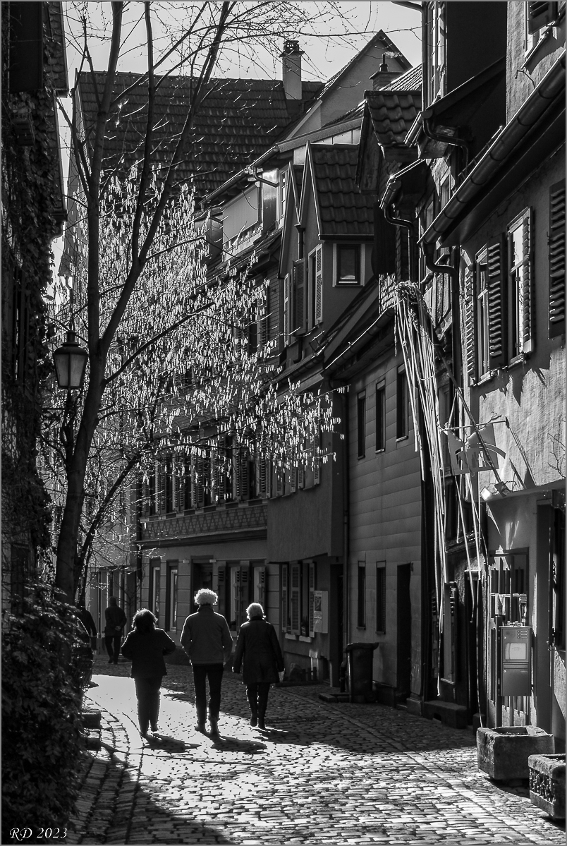 DS2_5843.jpg
