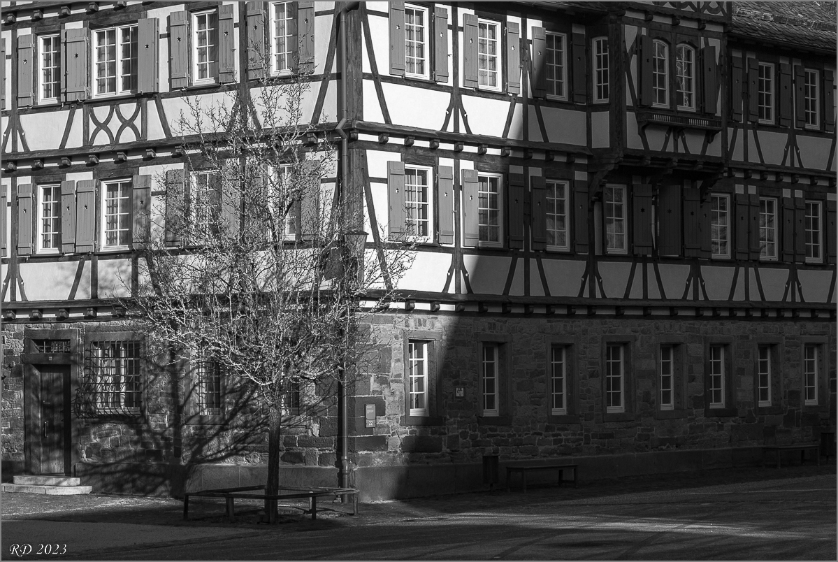 DS2_9398.jpg