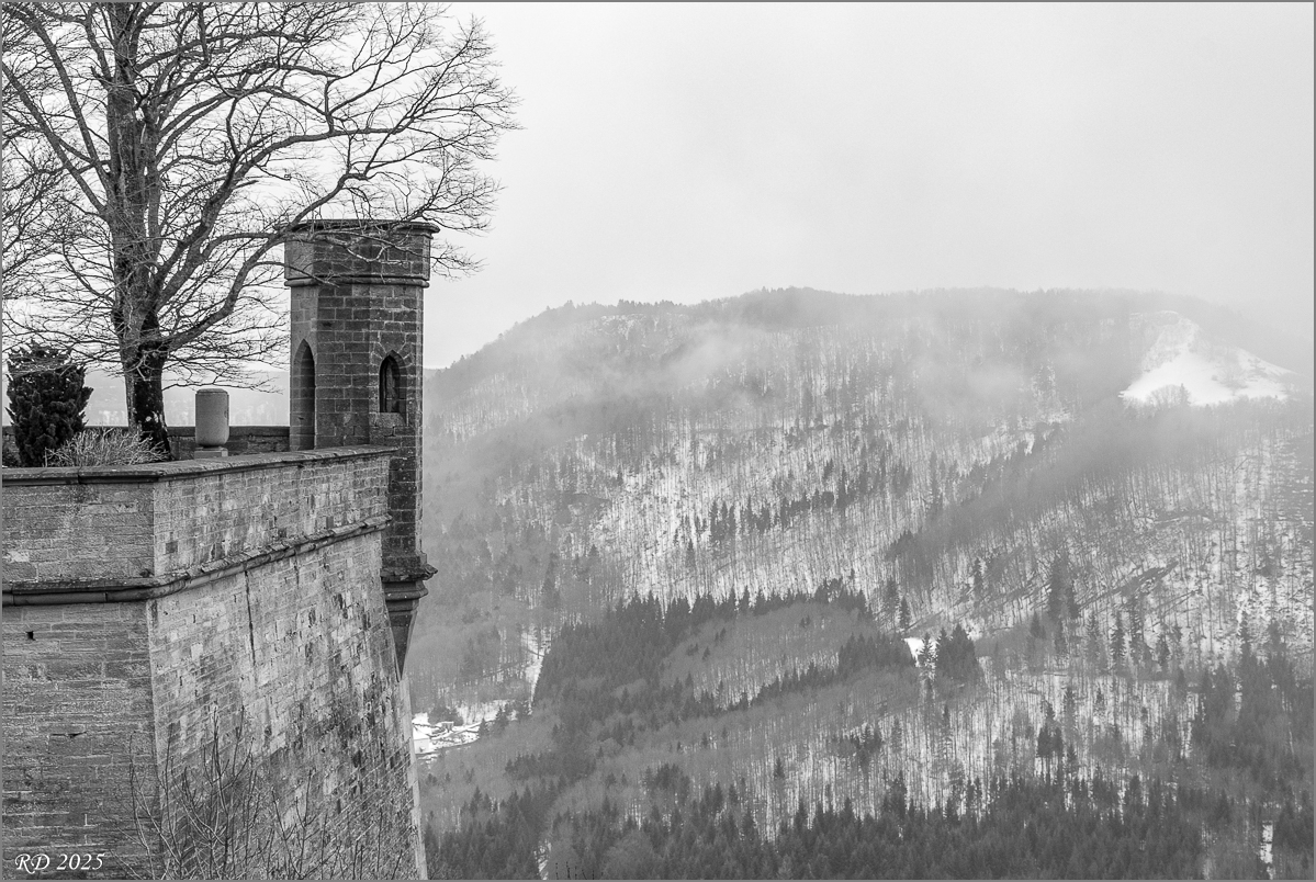DS2_9457.jpg
