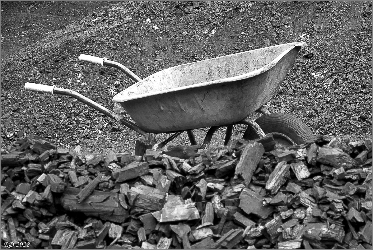 DS2_9984.jpg