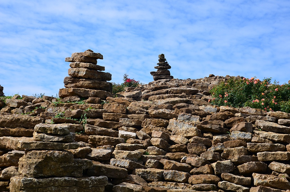 DS7_4586.jpg