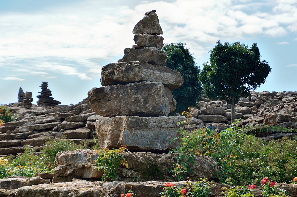 DS7_4589.jpg
