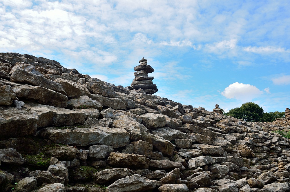 DS7_4592.jpg