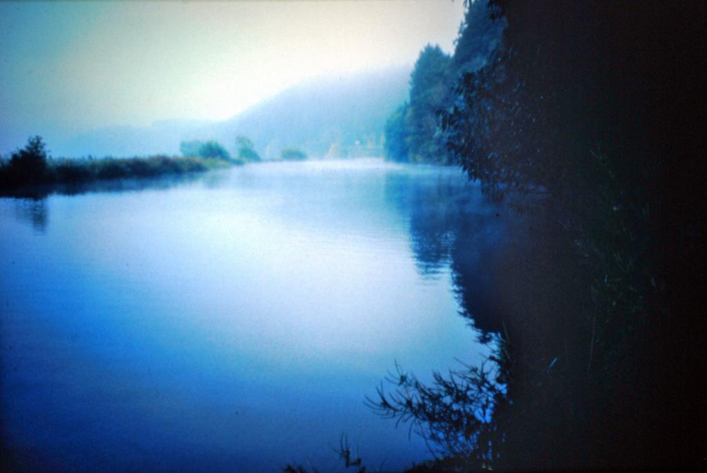 DSC 0002