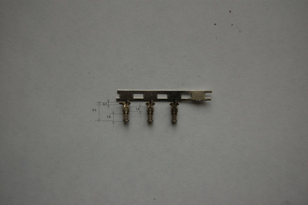 DSC 0002