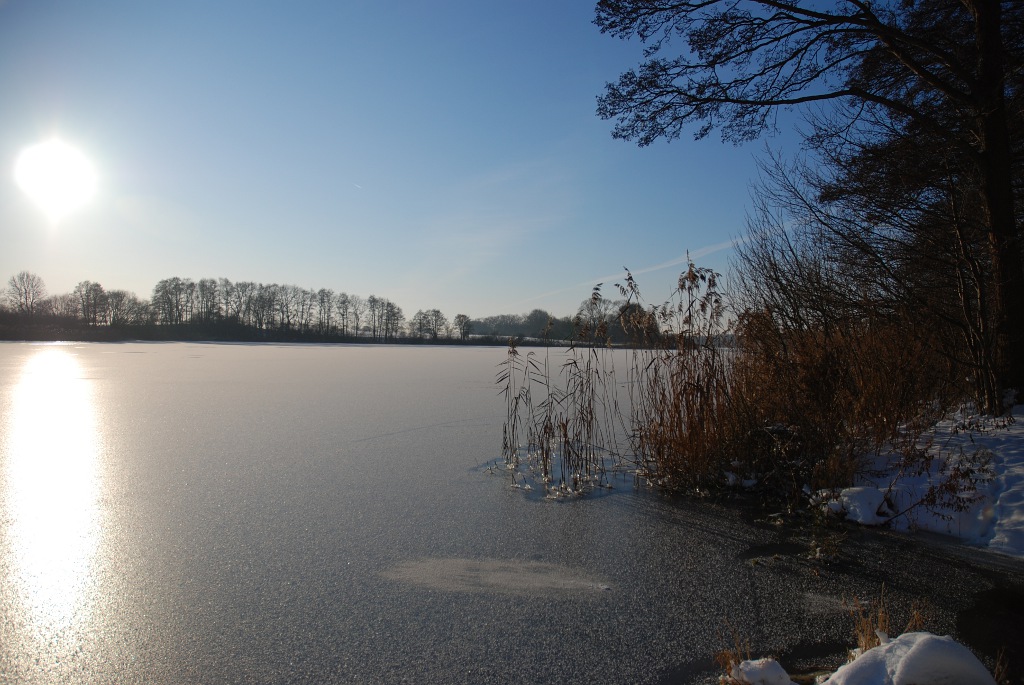 DSC 0002a