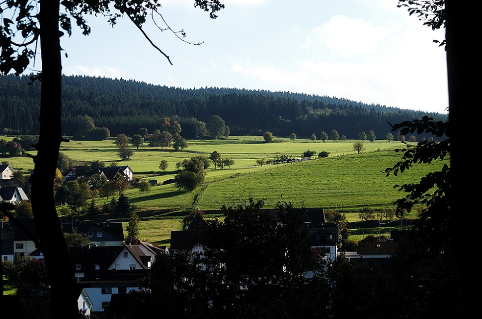 DSC 0003