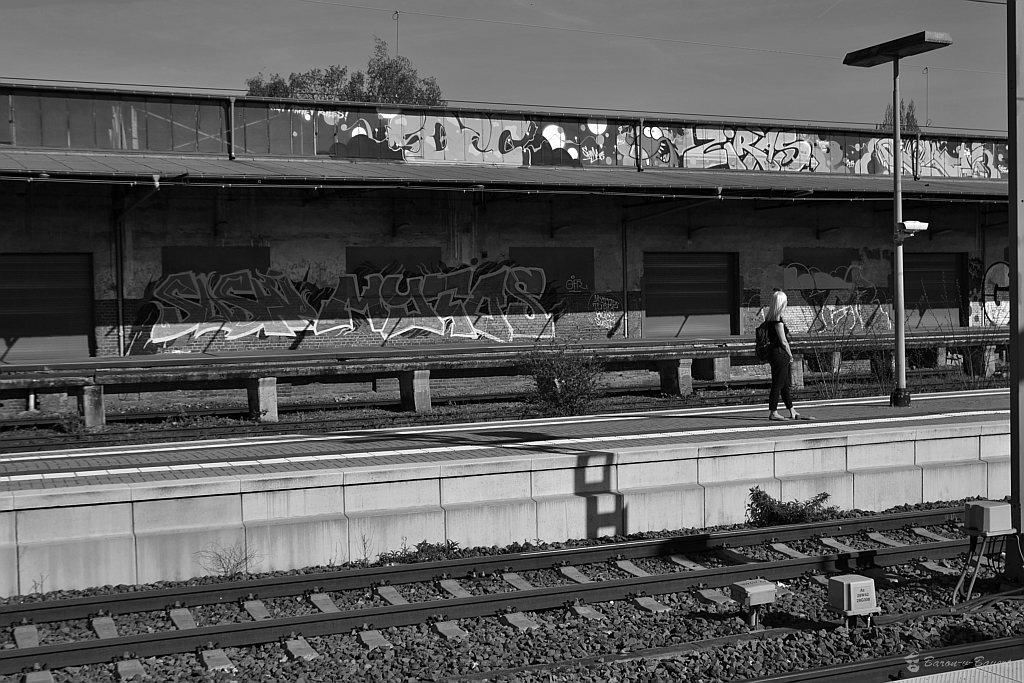 DSC 0003sw