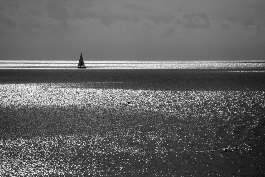 DSC 0005
