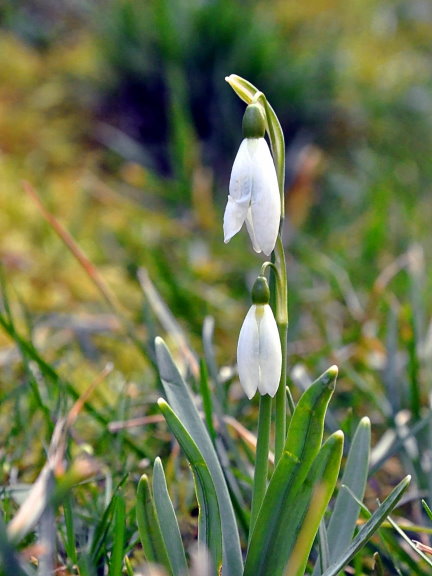 DSC 0006 neu