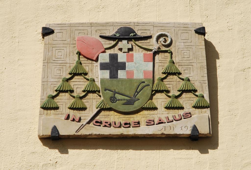 DSC 0007