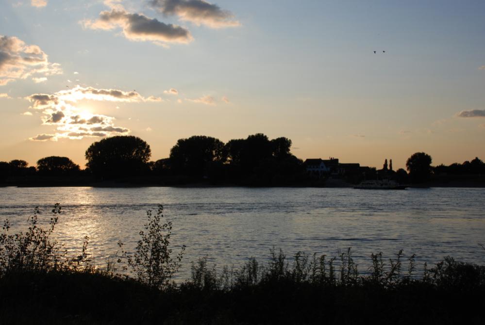 DSC 0008