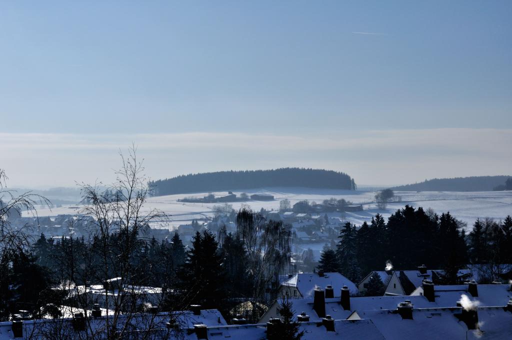DSC 0008