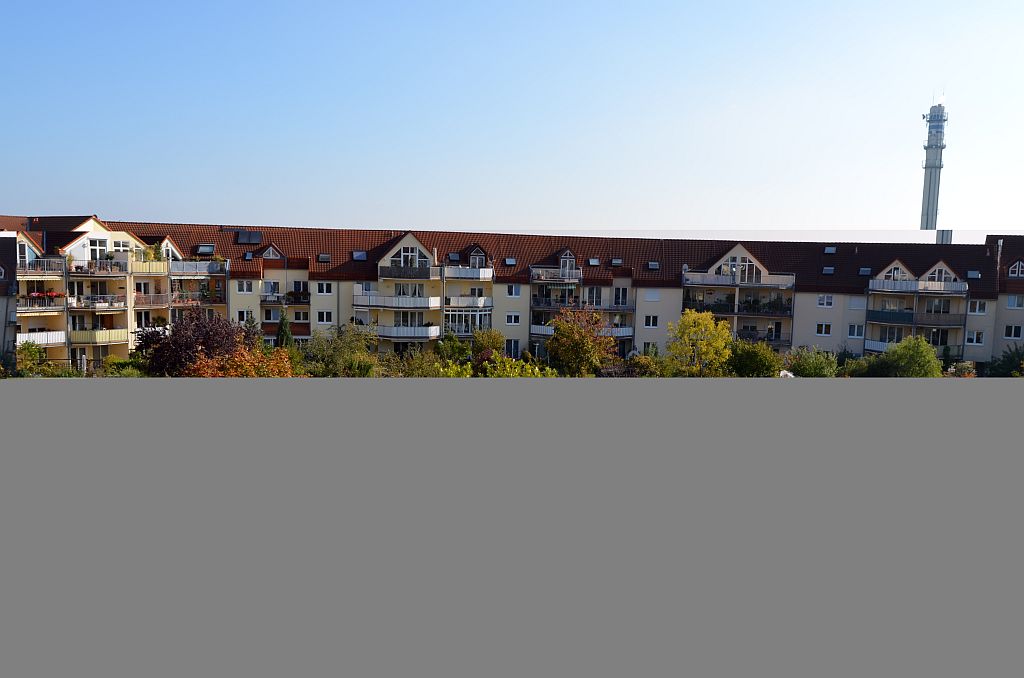 DSC 0013