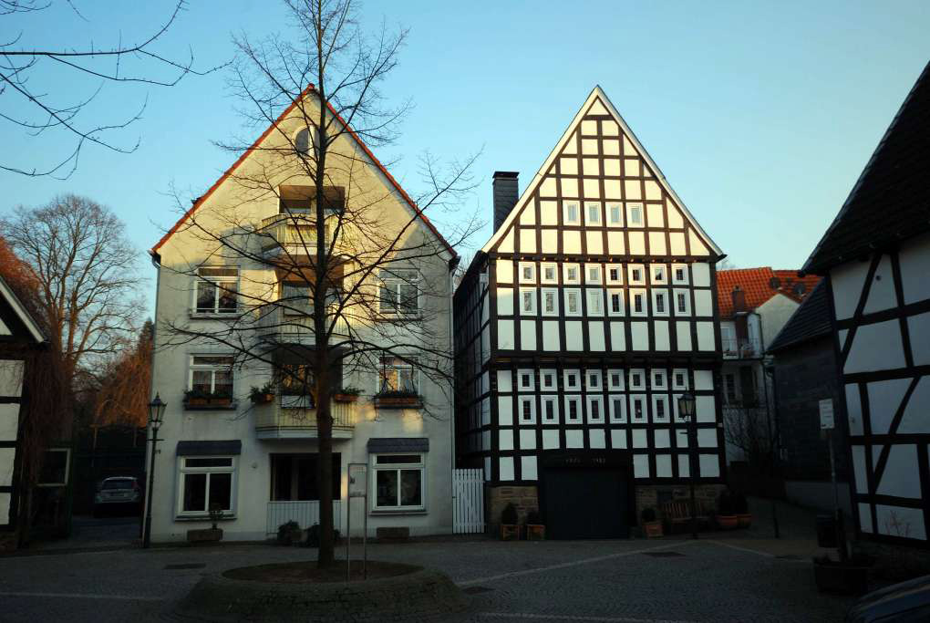DSC 0022