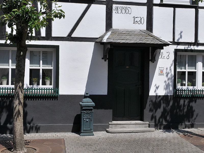 DSC 0024