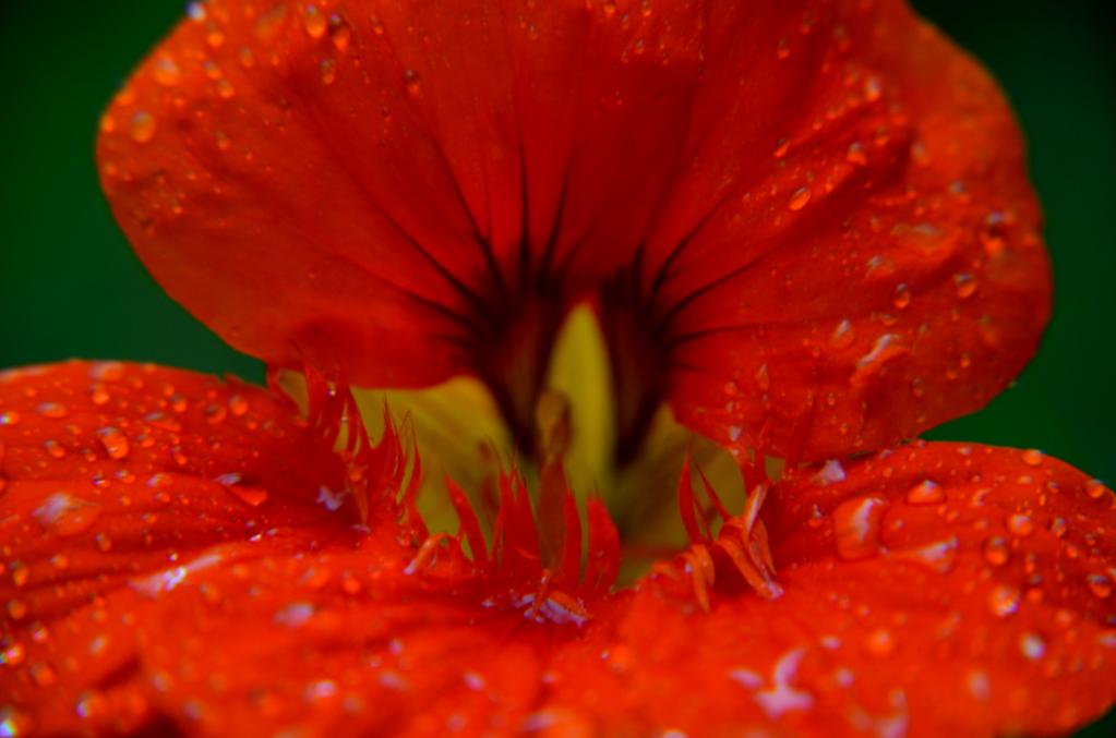 DSC 0025