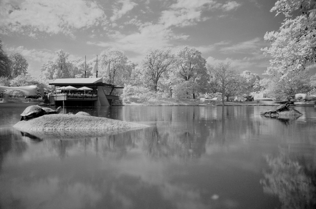 DSC 002581 sw