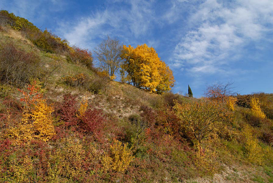DSC 0028 Kopie