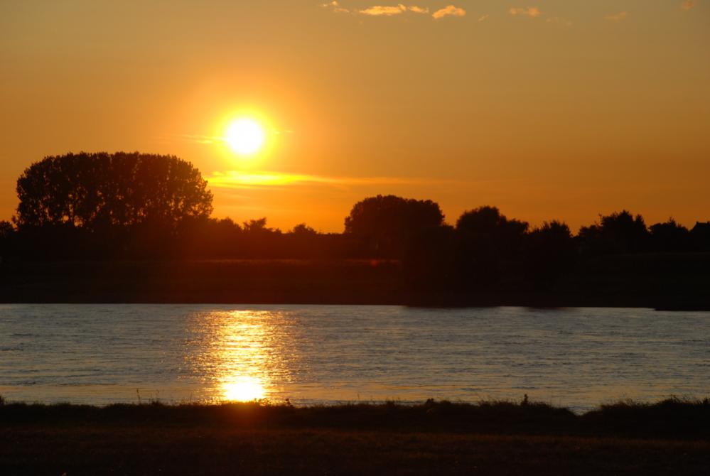 DSC 0029